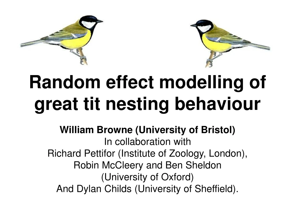 random effect modelling of great tit nesting behaviour