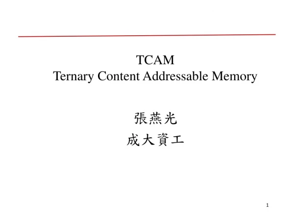 TCAM Ternary Content Addressable Memory