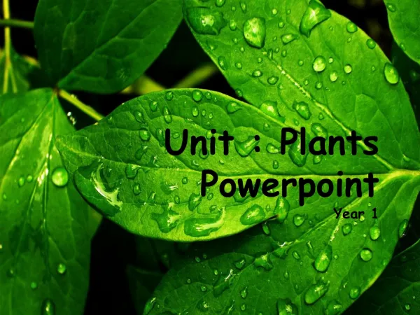 Unit : Plants Powerpoint Year 1