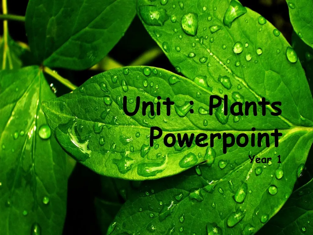 unit plants powerpoint year 1