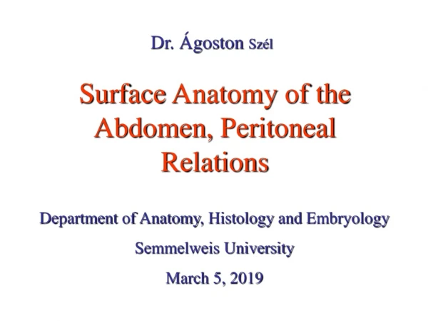 Surface Anatomy  of  the Abdomen ,  Peritoneal  Relations