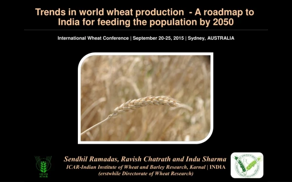 Trends in world wheat production  - A roadmap to  India for feeding the population by 2050
