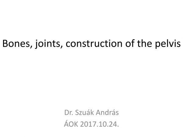 Bones, joints, construction of the pelvis