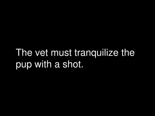 The vet must tranquilize the pup with a shot.