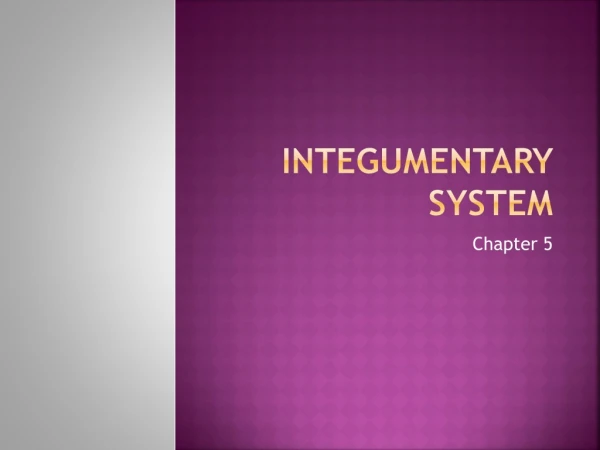 Integumentary  System