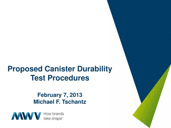 Proposed Canister Durability Test Procedures February 7, 2013 Michael F. Tschantz