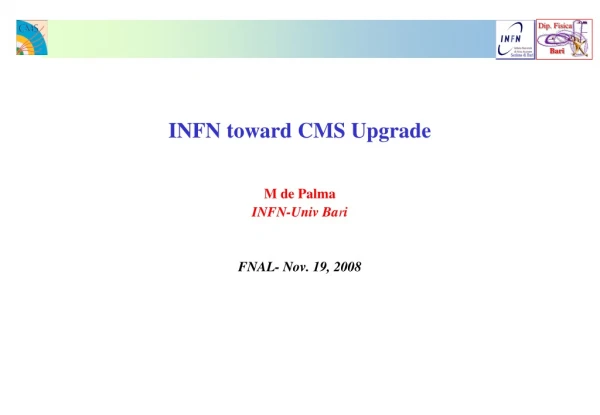 INFN toward CMS Upgrade M de Palma INFN-Univ Ba r i FNAL- Nov. 19, 2008