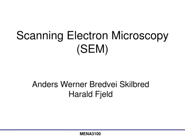 Scanning Electron Microscopy (SEM)