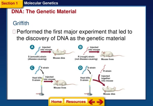 DNA: The Genetic Material