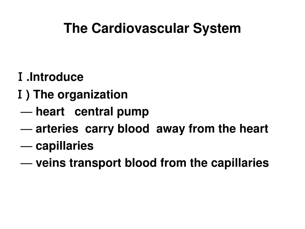 the cardiovascular system