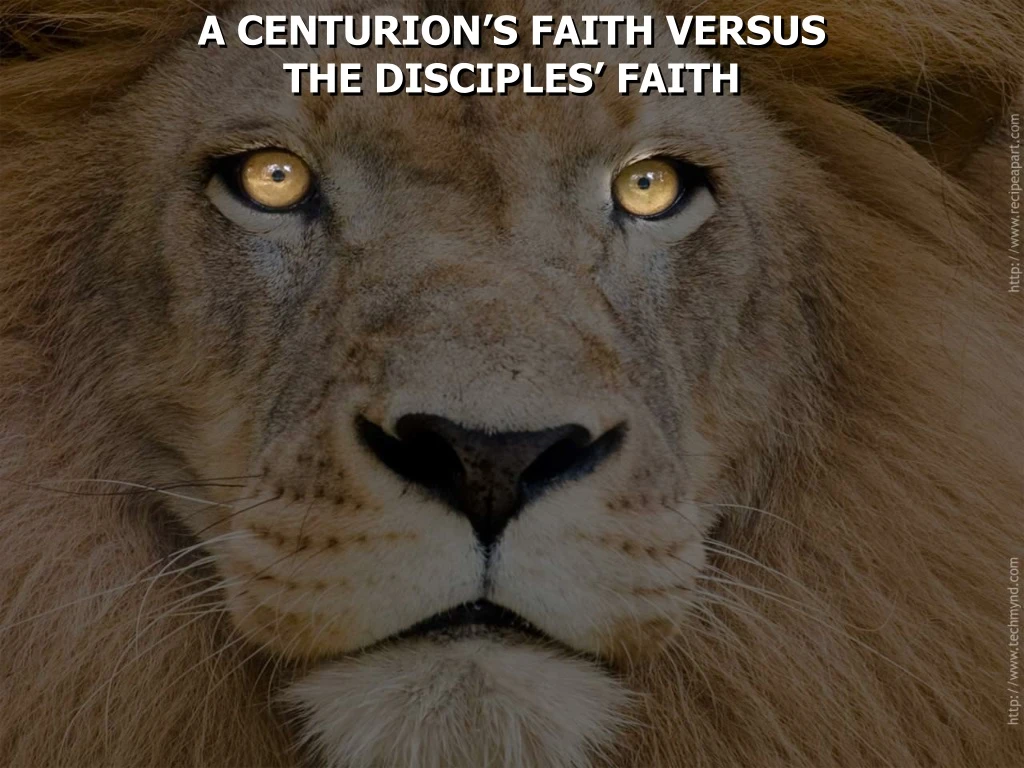 a centurion s faith versus the disciples faith