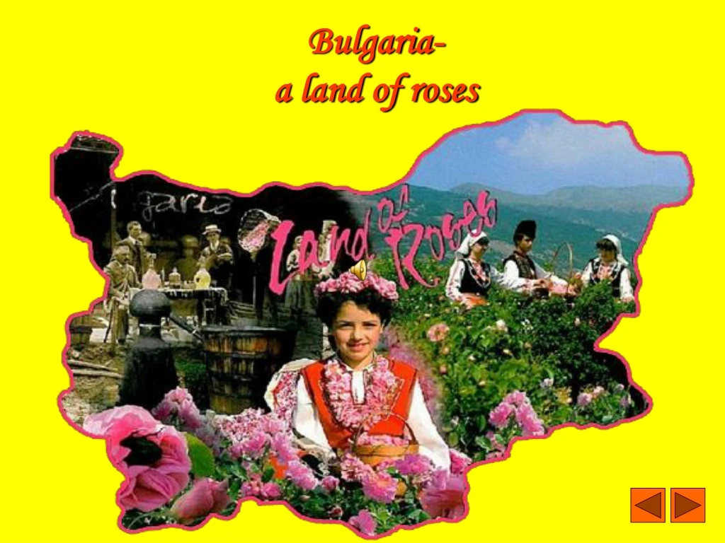 bulgaria a land of roses