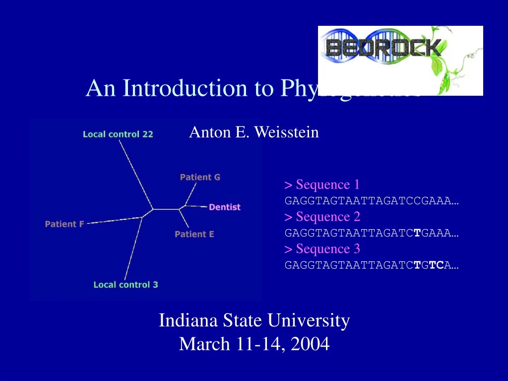 an introduction to phylogenetics