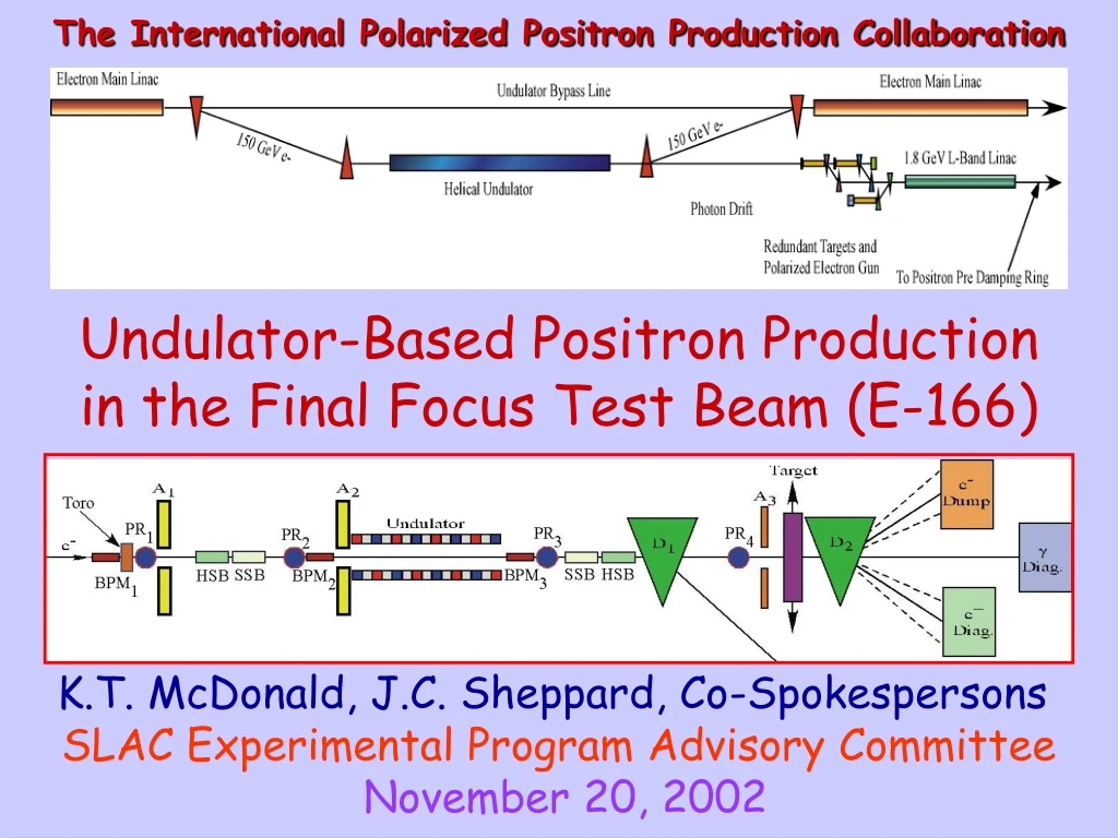 the international polarized positron production