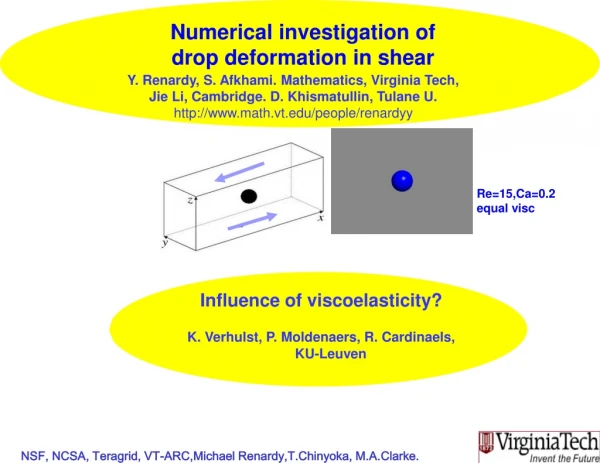 Numerical investigation of  drop deformation in shear