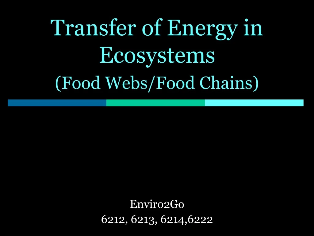 transfer of energy in ecosystems food webs food chains