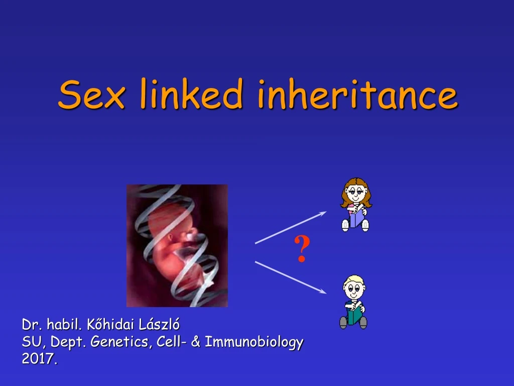 sex linked inheritance