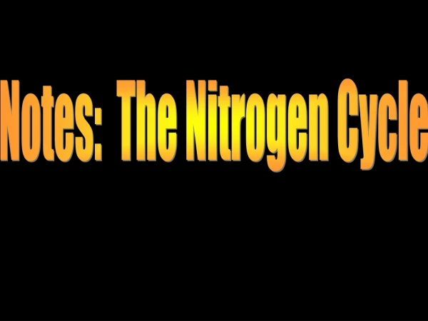 Notes:  The Nitrogen Cycle