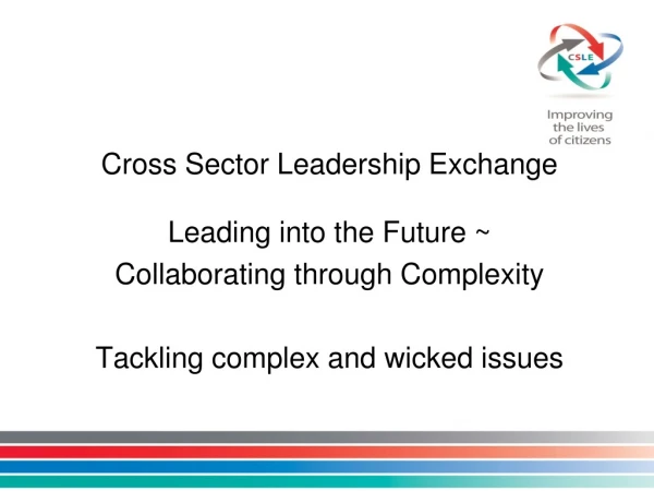 Cross Sector Leadership Exchange Leading into the Future ~ Collaborating through Complexity