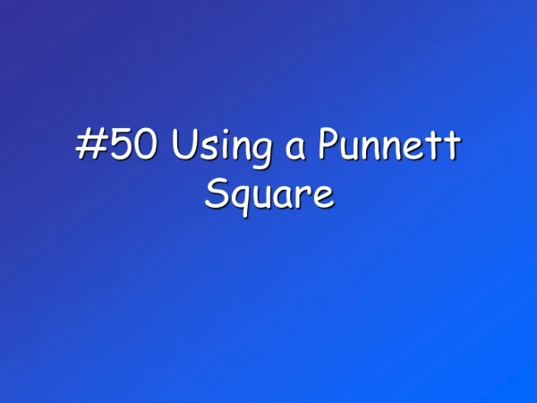 #50 Using a Punnett Square