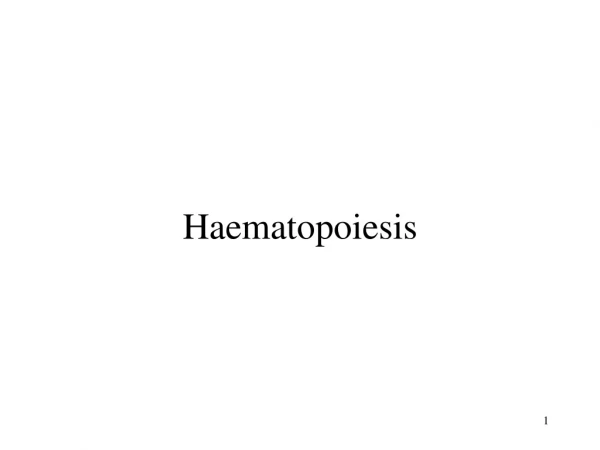 Haematopoiesis