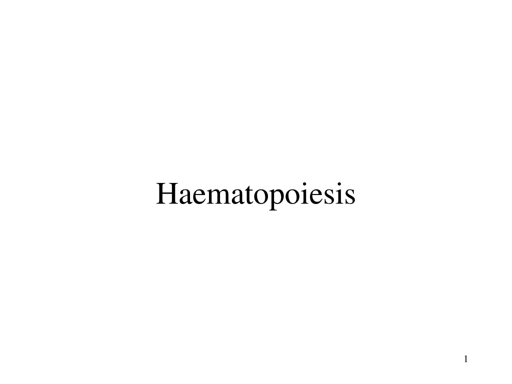 haematopoiesis