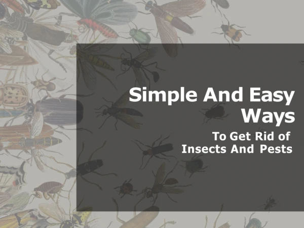 simple and easy w ay s