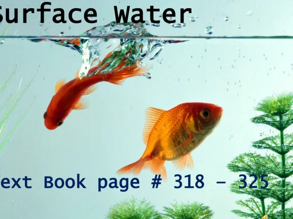 Surface Water T ext Book page # 318 – 325