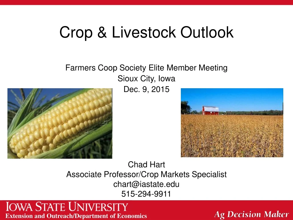 crop livestock outlook