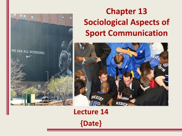 Chapter 13 Sociological Aspects of Sport Communication