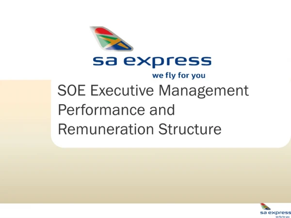 SOE Executive Management  Performance and  Remuneration Structure