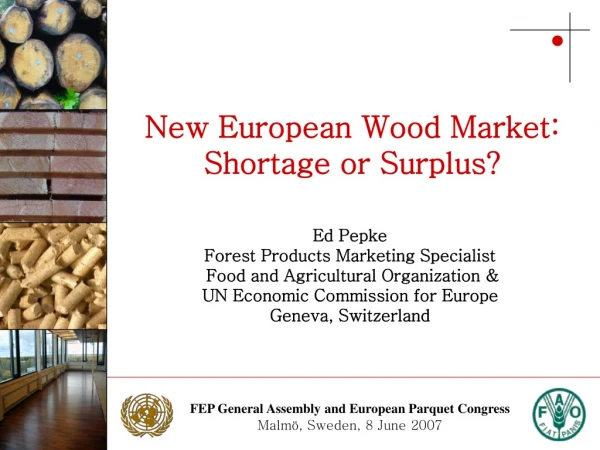 New European Wood Market: Shortage or Surplus?