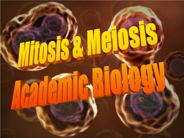 Mitosis &amp; Meiosis Academic Biology