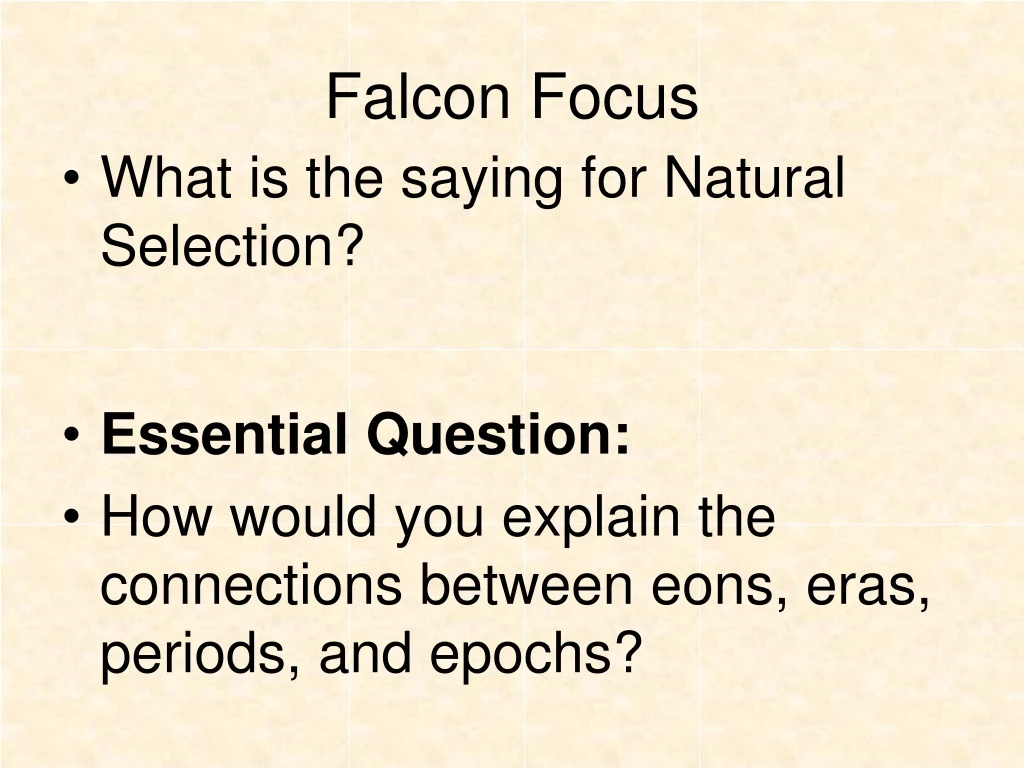 falcon focus