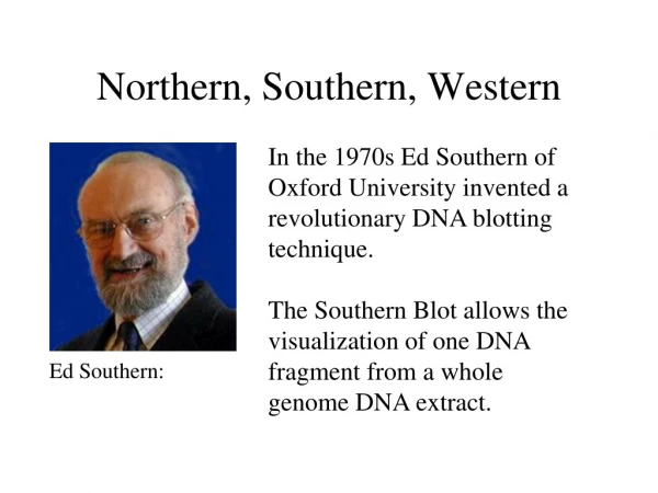 Northern, Southern, Western