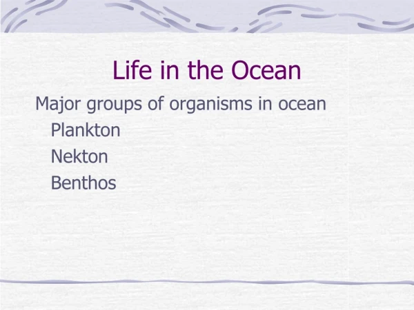 Life in the Ocean