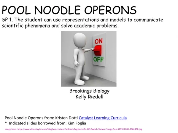 Brookings Biology Kelly Riedell