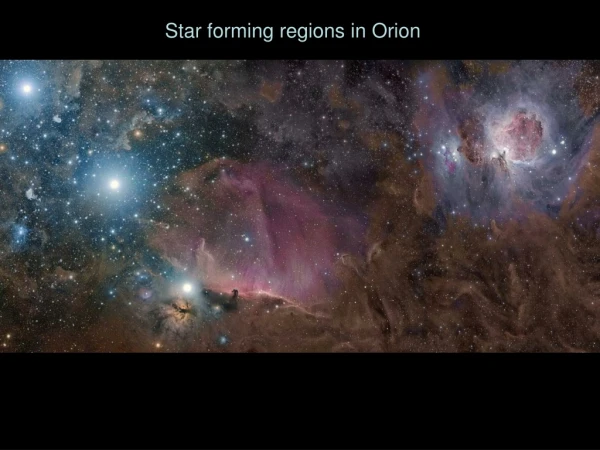 Star forming regions in Orion
