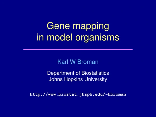 Gene mapping  in model organisms