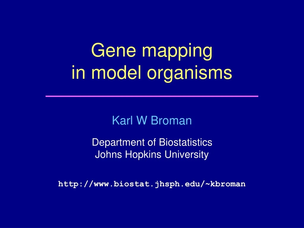 gene mapping in model organisms