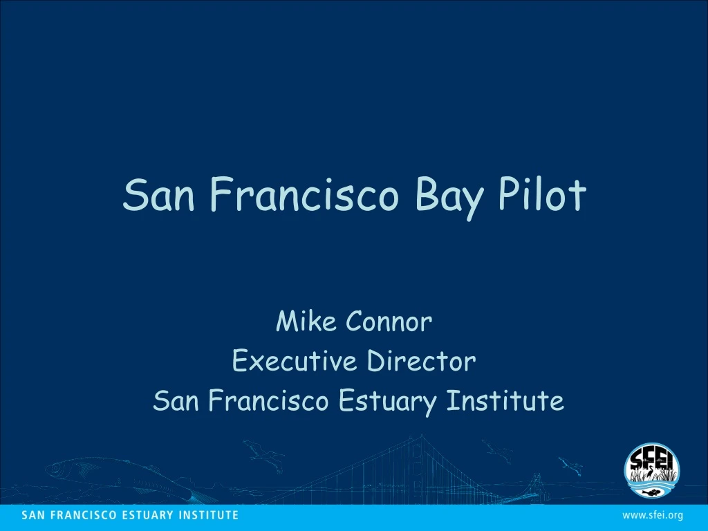 san francisco bay pilot