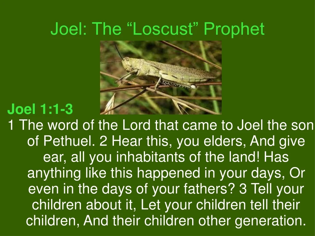 joel the loscust prophet