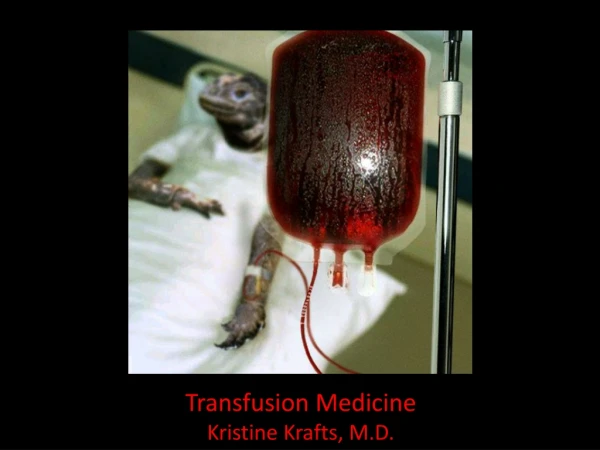 Transfusion Medicine Kristine Krafts, M.D.
