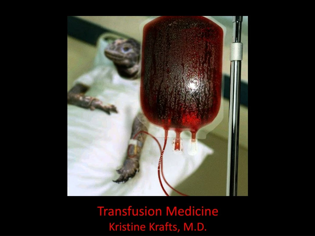 transfusion medicine kristine krafts m d