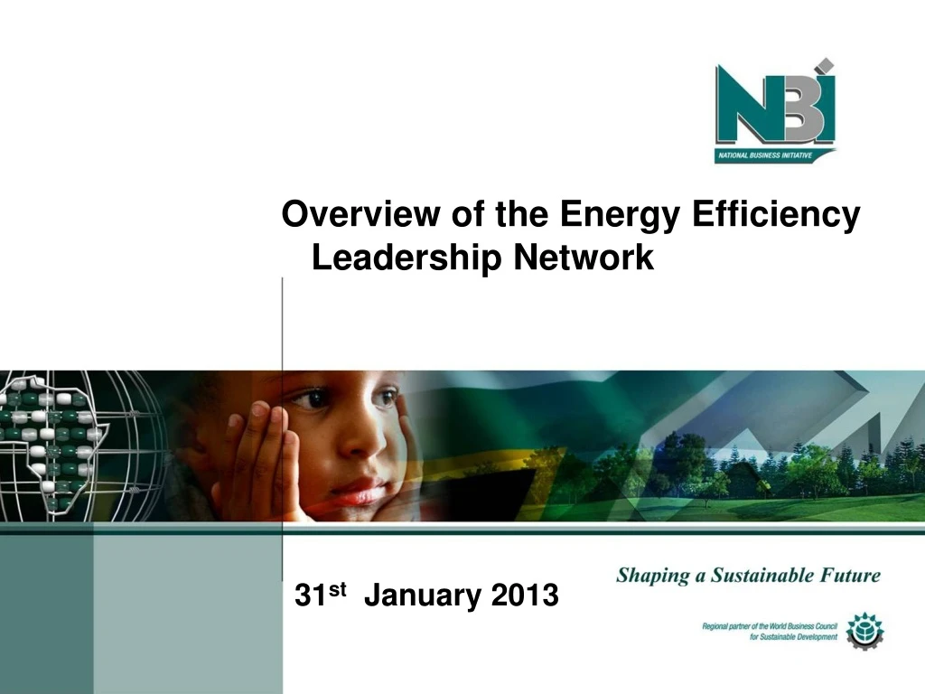 overview of the energy efficiency leadership