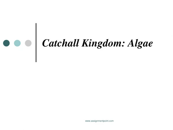 Catchall Kingdom: Algae
