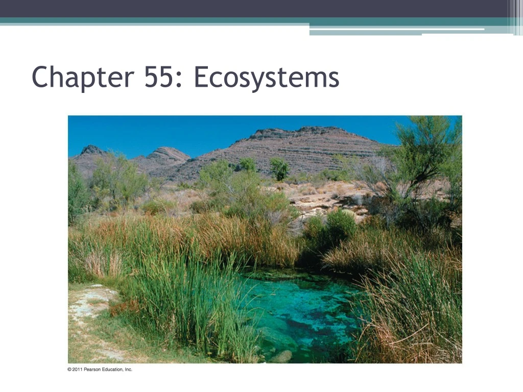 chapter 55 ecosystems