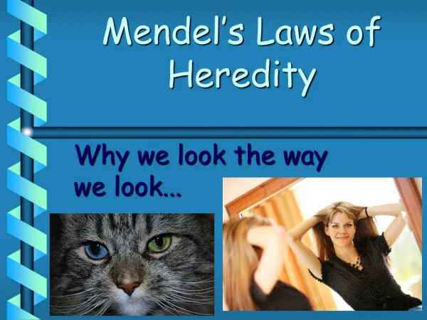 Mendel’s Laws of Heredity