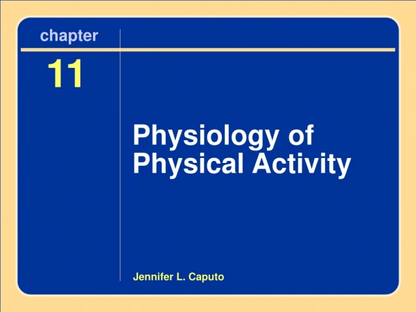 Chapter 11 Physiology of Physical Activity