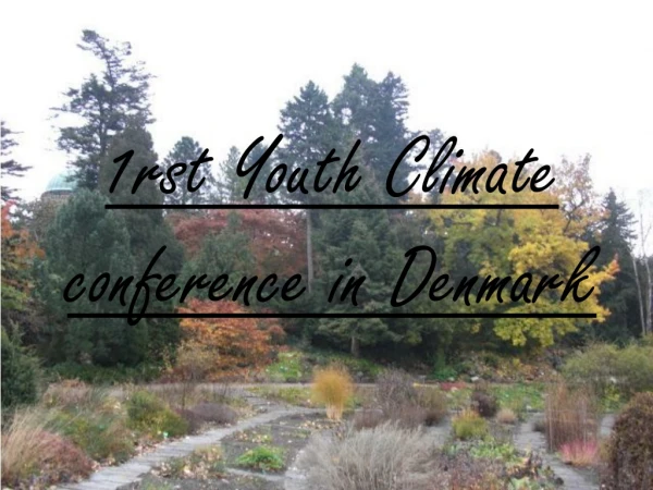 1rst Youth Climate conference in Denmark